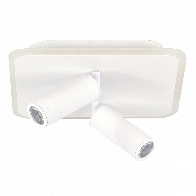 Накладной светильник Escada  20024SMA/01LED WH 400_400_3122240