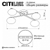 Потолочная люстра Citilux Atman Smart CL226A141 100_100_1694365