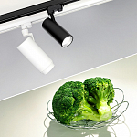 Светильник на штанге Arlight ZEUS FOOD 032449 250_100_1890925