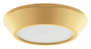Накладной светильник Lightstar Urbano mini 214732 100_100_2448530