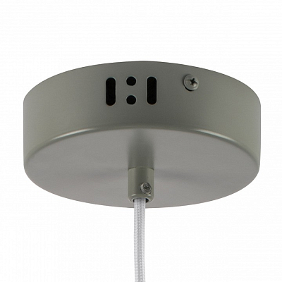 Подвесной светильник Lightstar Erbareo 799019 400_400_1723112