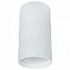 Накладной светильник Arte Lamp Fang A5557PL-1WH 100_100_2444206