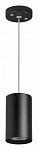 Подвесной светильник Lightstar Rullo RP437 250_100_1714793