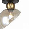Накладной светильник Escada Liberty 2109/1P 100_100_2677011