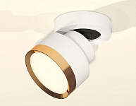 Спот Ambrella Light XM XM8101004 250_100_2011891
