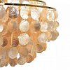 Подвесная люстра Lumion MODERNI 8386/6 100_100_2743101