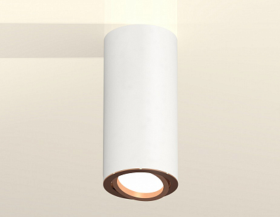 Накладной светильник Ambrella Light XS XS7442005 400_400_2006288