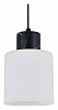 Подвесной светильник Escada Lord 2133/1S 100_100_2456870