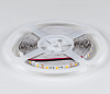 Лента светодиодная DesignLed DSG560 00-00000516 100_100_3101063