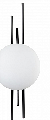 Накладной светильник Indigo Astro 14007/1W Black 400_400_2479771