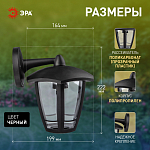 Светильник на штанге Эра  НБУ 07-40-004 «Дели 3» черный 250_100_3091536