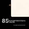 Встраиваемый светильник Apeyron Electrics  06-119 100_100_3145840