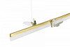 Подвесной светильник AM-Group MARIPOSA MARIPOSA L1000 POLISHED GOLD 100_100_2862164