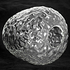 Люстра потолочная Lussole LSP-8720 100_100_1941046
