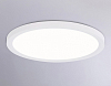 Накладной светильник Ambrella Light FZ FZ1907 100_100_2027885