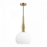 Подвесной светильник Odeon Light Runga 4766/1 250_100_1724829