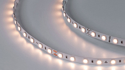 Лента светодиодная DesignLed DSG560 00-00000521 250_100_3101079