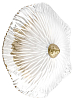 Накладной светильник Loft it Bloom 10352W/A AB 100_100_2630828
