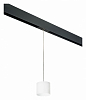 Подвесной светильник Lightstar Rullo PRORP3486 100_100_2460322