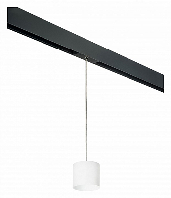 Подвесной светильник Lightstar Rullo PRORP3486 400_400_2460322