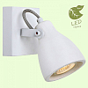 Спот Lussole  GRLSP-9822 100_100_1733714