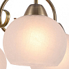 Подвесная люстра Arte Lamp Margo A9317LM-5AB 100_100_2390922