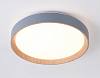 Накладной светильник Ambrella Light FZ FZ1320 100_100_2021283