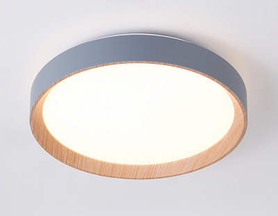 Накладной светильник Ambrella Light FZ FZ1320 400_400_2021283
