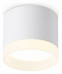 Накладной светильник Ambrella Light TN TN5365 250_100_Array
