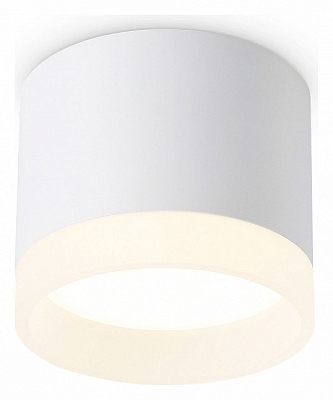 Накладной светильник Ambrella Light TN TN5365 400_400_2442365