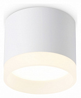 Накладной светильник Ambrella Light TN TN5365 500_191_2442365