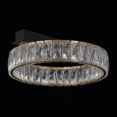 Накладной светильник Citilux PALANT CL325142 400_400_3086093