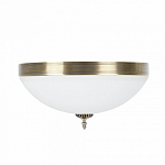 Накладной светильник MyFar Ceiling MR1528-4C 250_100_3156347