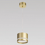 Подвесной светильник Citilux Hardy CL002P12 250_100_1693527