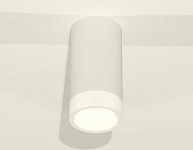 Накладной светильник Ambrella Light XS XS8161002 250_100_2012941
