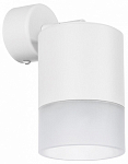 Спот Lightstar Rullo RBX348681 250_100_1721268
