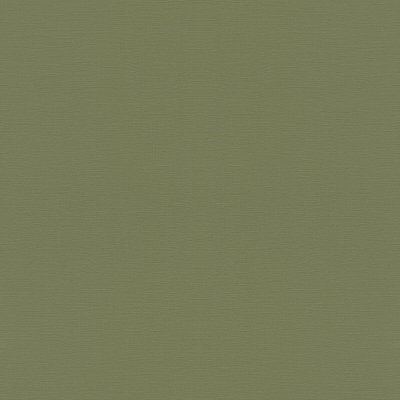687538 Обои Rasch (1*12) 10,05x0,53 винил на флизелине 400_400_2323947