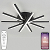 Потолочная люстра Natali Kovaltseva Line LED LAMPS 81174 100_100_2218706