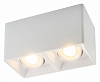Накладной светильник Denkirs DK3030 DK3035-WH 100_100_1913072