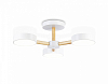 Люстра на штанге Ambrella Light FL FL4821 100_100_2421689