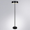 Торшер Arte Lamp Skat A7052PN-2BK 100_100_2742214