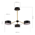 SLE6005-402-03 Светильник потолочный Черный, Золотистый/Черный LED 3*10W ВАЛЛЕ 250_100_2954141