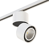 Накладной светильник Lightstar Forte Muro A1T214830 100_100_2448148
