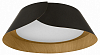 Накладной светильник Loft it Lane 10370 Black 100_100_3155011