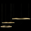 Подвесной светильник Loft it Ring 10017/3M 100_100_1845784