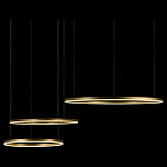 Подвесной светильник Loft it Ring 10017/3M 250_100_1845784