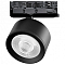 Светильник на штанге Lightstar Alta Pro A5537QT60G
