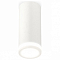 Накладной светильник Ambrella Light XS XS7442012