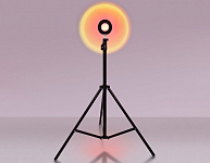Настольная лампа декоративная Ambrella Light DE DE8387 250_100_2018166