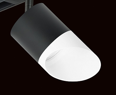 Светильник на штанге Lightstar Rullo PRO348786 400_400_1717907